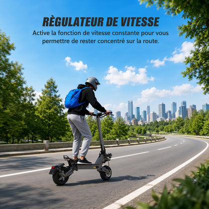 StreetRide VS9 - Trottinette électrique 60V 26Ah double moteur