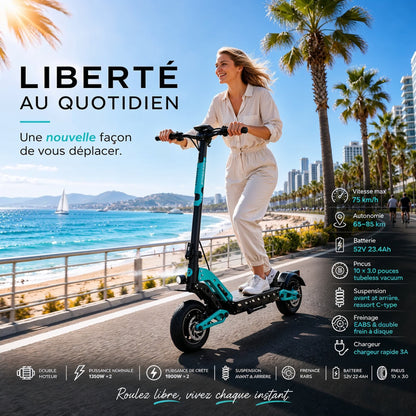 Trottinette électrique DT10-Pro - Double moteur 2700W pliable